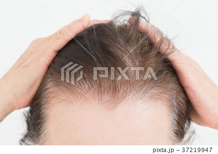 シニア ヘアケア シニア ヘアケア 37219947