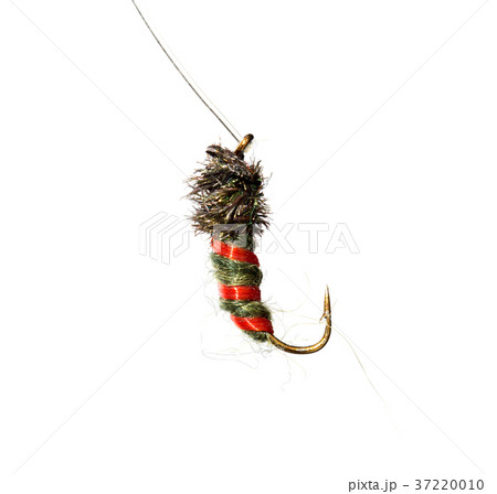 fly for fishing on a white background 37220010