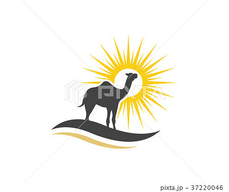 Camel Icon Logo Template design Camel Icon Logo Template design 37220046