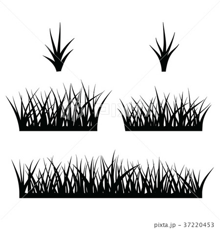 black  silhouette of grass 37220453