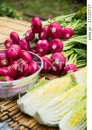 菜洗い 漬物漬け 飛騨産 赤カブ・ハクサイ 菜洗い 漬物漬け 飛騨産 赤カブ・ハクサイ 37220717