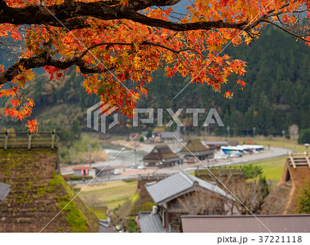 日本の原風景　美山かやぶきの里　京都北部にある美山かやぶきの里 37221118