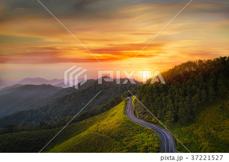 Sunset Landscape nature flower Sunset Landscape nature flower 37221527