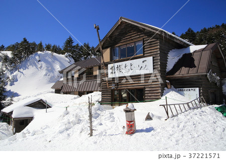 北八ヶ岳の北横岳ヒュッテ付近 北八ヶ岳の北横岳ヒュッテ付近 37221571