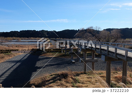 木造の橋 蓬莱橋 木造の橋 蓬莱橋 37222210