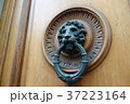 イタリア　フィレンツェ 37223164