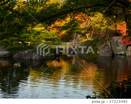姫路城西御屋敷跡庭園好古園 姫路公園　姫路城内にある日本庭園 37223492