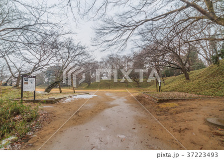 冬の佐倉城跡の一の門跡の風景 37223493