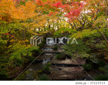 姫路城西御屋敷跡庭園好古園 姫路公園 姫路城内にある日本庭園 姫路城西御屋敷跡庭園好古園 姫路公園 姫路城内にある日本庭園 37223515