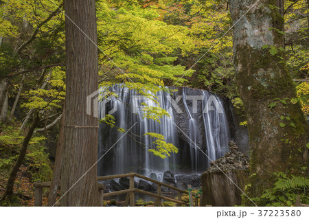 達沢不動滝 紅葉 猪苗代町 達沢不動滝 紅葉 猪苗代町 37223580