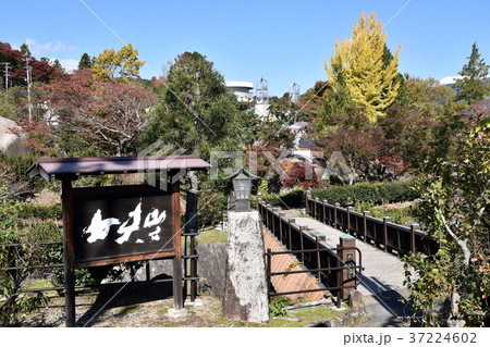 中津川市桃山公園 37224602