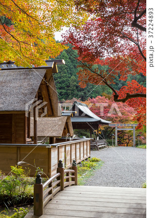 日向大神宮 37224893