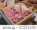 氷川神社　あい鯛 37225145