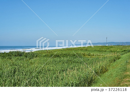 北海道 夏の恋問海岸 北海道 夏の恋問海岸 37226118