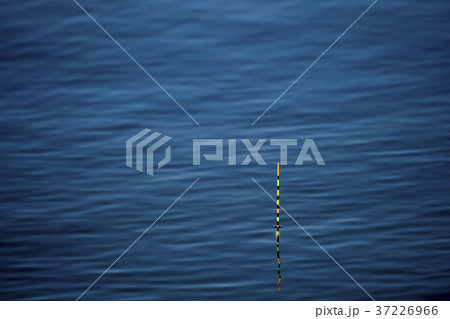 水面に浮く浮き 37226966