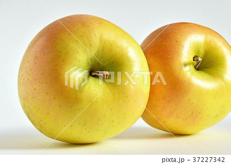 リンゴ（こうこう） 37227342