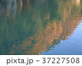 秋、紅葉、長瀞１０ 37227508