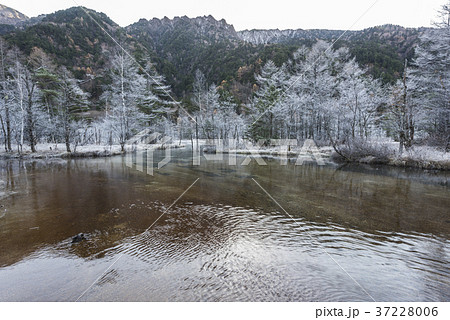 霧氷の田代池 37228006