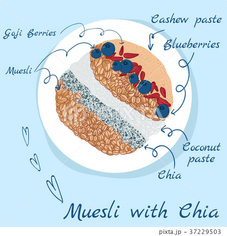Muesli with chia art illustration 37229503
