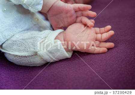 Little baby hands Little baby hands 37230429
