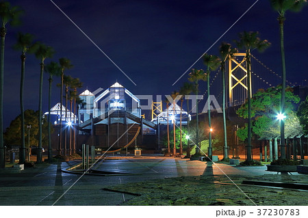 瀬戸大橋記念公園の夜景 37230783