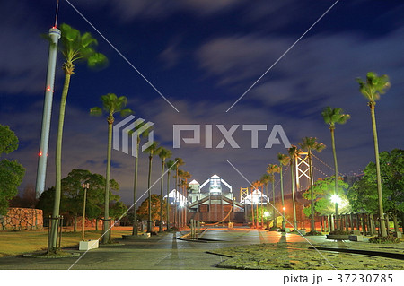 瀬戸大橋記念公園の夜景 37230785