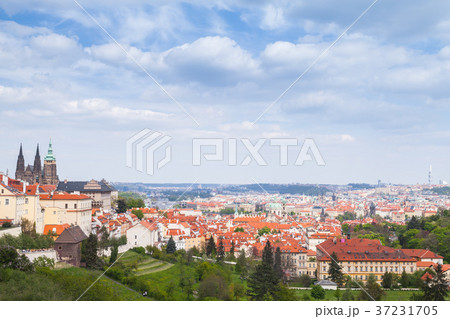 Panorama of Prague with St.Vitus Cathedral Panorama of Prague with St.Vitus Cathedral 37231705