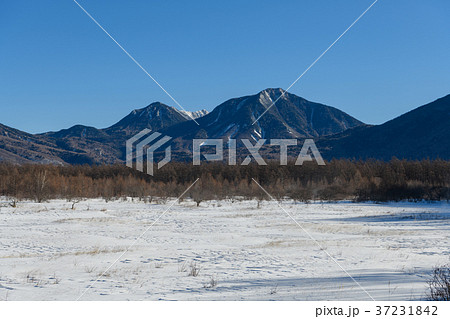 小田代ヶ原から見た大真名子山と子真名子山 小田代ヶ原から見た大真名子山と子真名子山 37231842