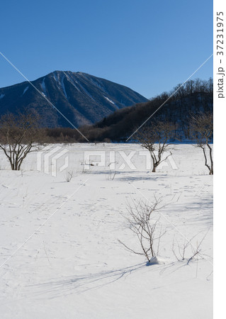 小田代ヶ原から見た男体山 37231975
