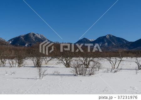 小田代ヶ原から見た太郎山と大真名子山、子真名子山 37231976