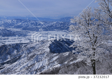 青と白の世界　越後南魚沼八海山 37232017