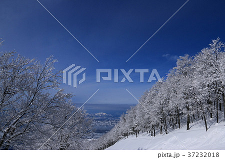 青と白の世界　越後南魚沼八海山 37232018