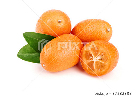 Cumquat or kumquat with leaf isolated on white 37232308