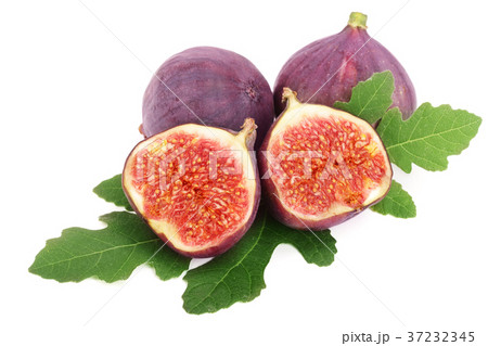 fig fruits with leaves isolated on white fig fruits with leaves isolated on white 37232345