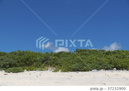 真夏の白保(石垣島) 真夏の白保(石垣島) 37232900