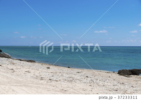白保海岸(石垣島) 白保海岸(石垣島) 37233311