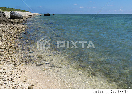 白保海岸(石垣島) 白保海岸(石垣島) 37233312