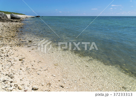 白保海岸(石垣島) 白保海岸(石垣島) 37233313