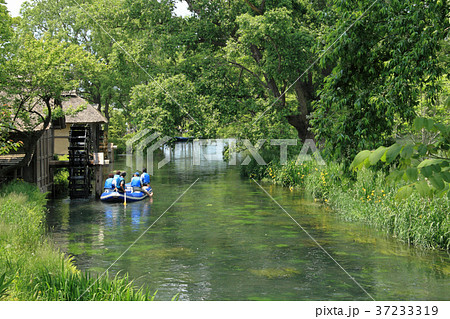 安曇野の清流 安曇野の清流 37233319