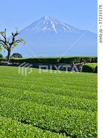 岩本山からの春の風景-333228 岩本山からの春の風景-333228 37233576