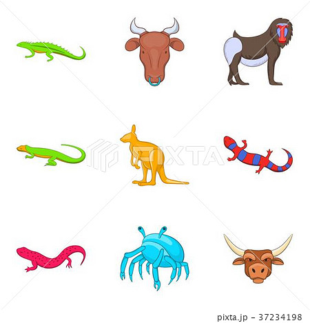 Australian animal icons set, cartoon style 37234198