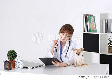 RF photo - a veterinarian and animals208 RF photo - a veterinarian and animals208 37234467