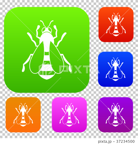 Bee set collection 37234500