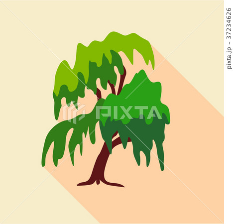 Willow tree icon, flat style 37234626