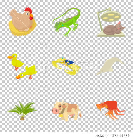 Veterinary supervision icons set, cartoon style 37234726