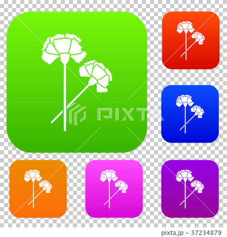 Carnation set collection Carnation set collection 37234879