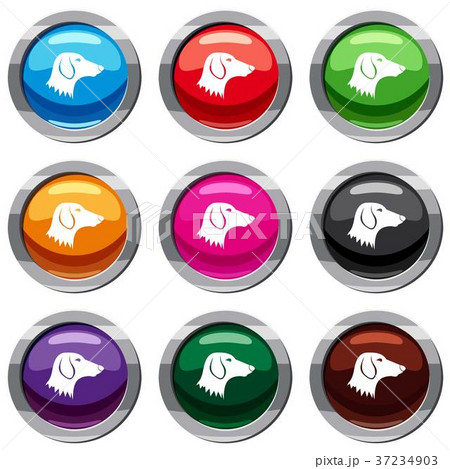 Dachshund dog set 9 collection Dachshund dog set 9 collection 37234903
