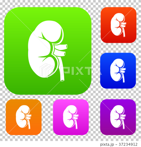 Kidney set collection Kidney set collection 37234912