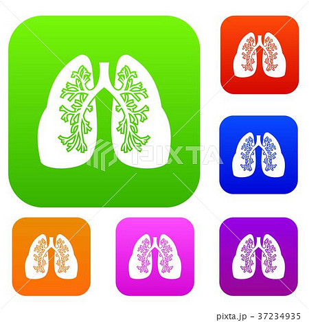 Lungs set collection Lungs set collection 37234935