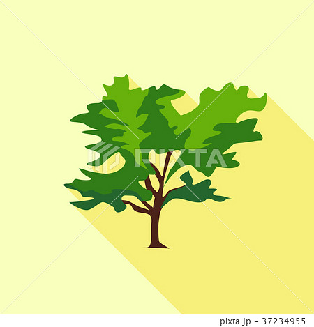 Tree large leaves icon, flat style Tree large leaves icon, flat style 37234955